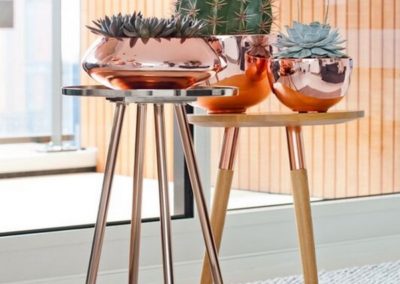 Pot plante cactus décoration rose gols Pottery Pots