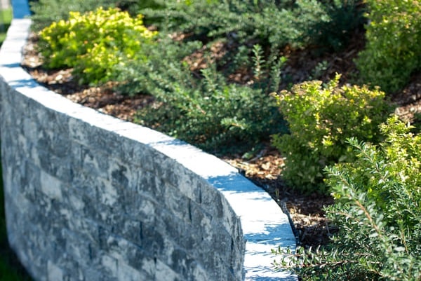 Plantation de fleurs et plantes pour votre jardin