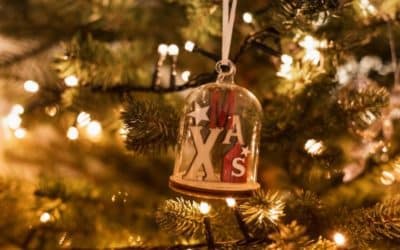 vente de sapin de noël